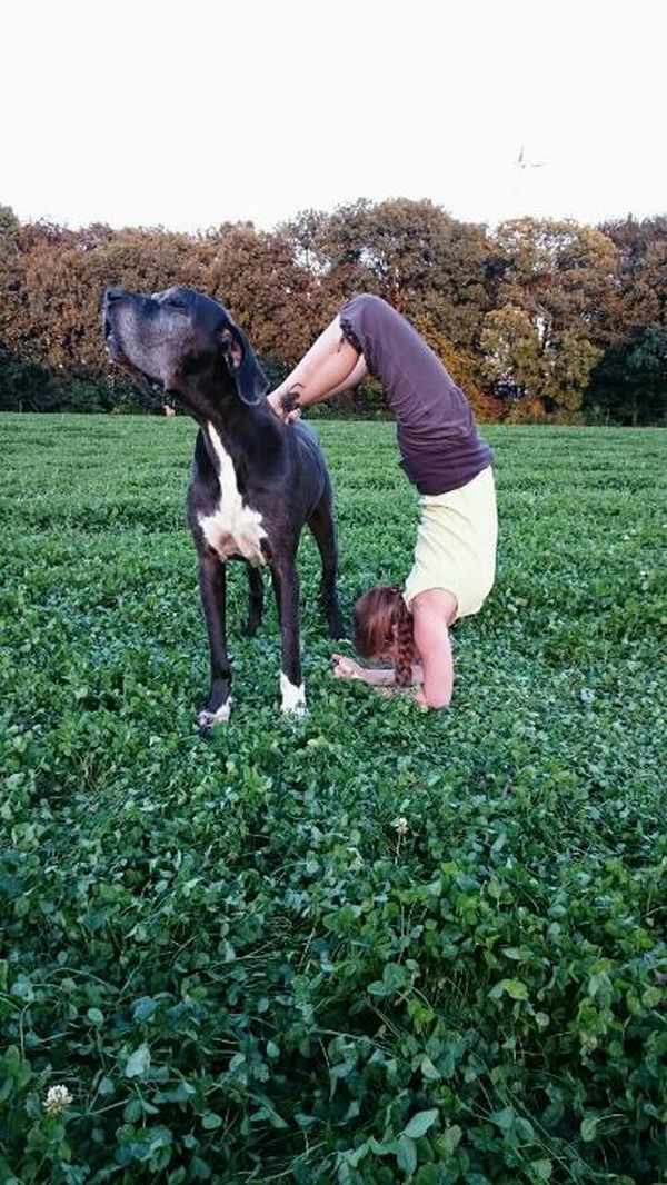 CaniYoga