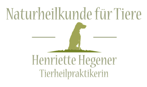 Naturheilkunde für Tiere – Henriette Hegener, Tierheilpraktikerin