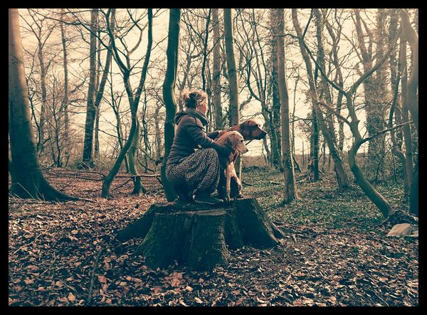 Hunde in der Natur
